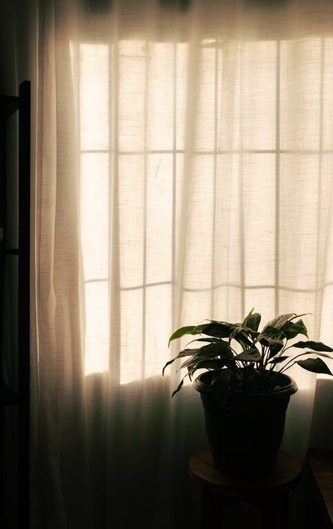 Simple Decor Changes to Create a Relaxing Home Environment